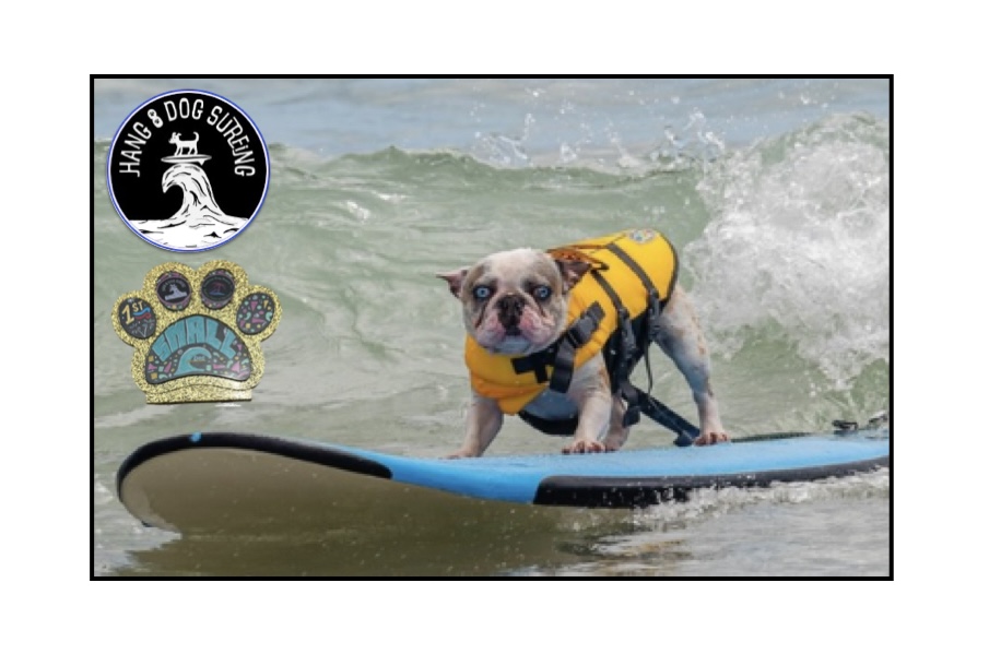 Frankie Crowned Champ of Hang 8 Dog
