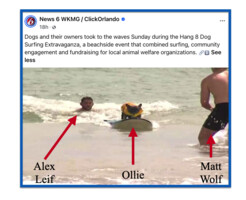 Frankie Crowned Champ of Hang 8 Dog